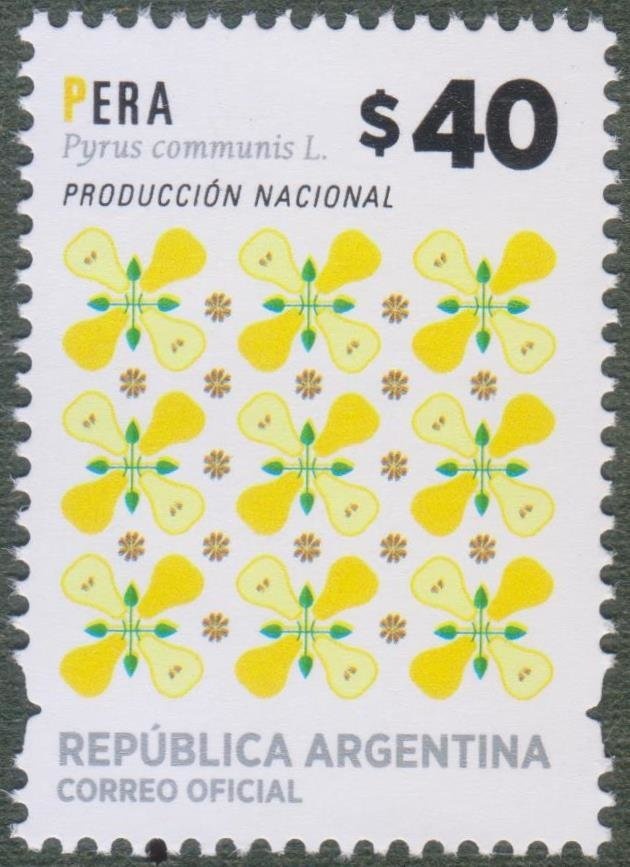 Mountain Cat (Felis geoffroyi)