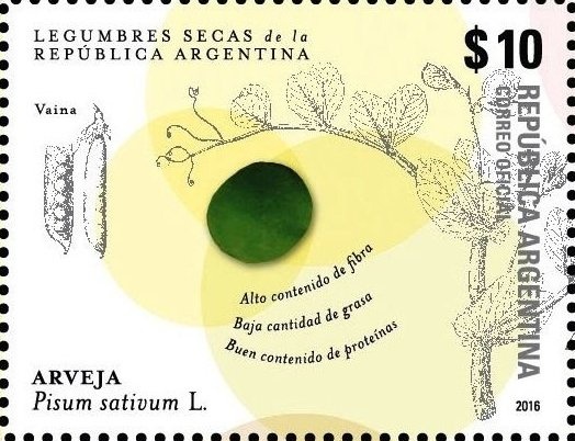 José Francisco de San Martín (1778-1850)