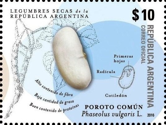 Allegory - “Republica Argentina”, ovpt. “M.G.”