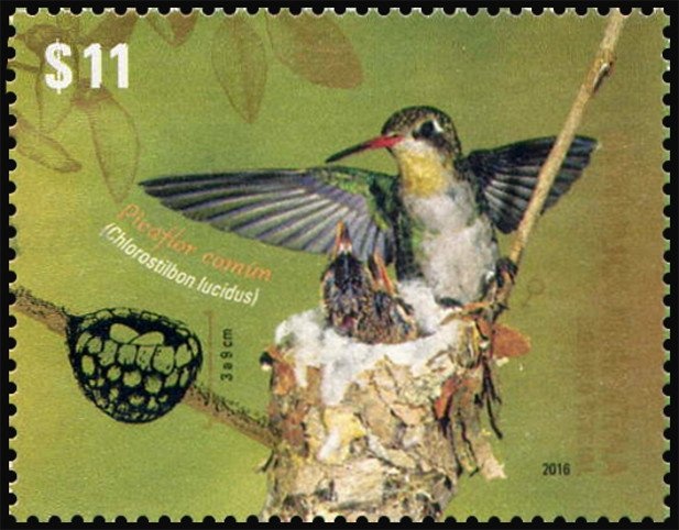 Bicentenary of the First Argentine Government Junta