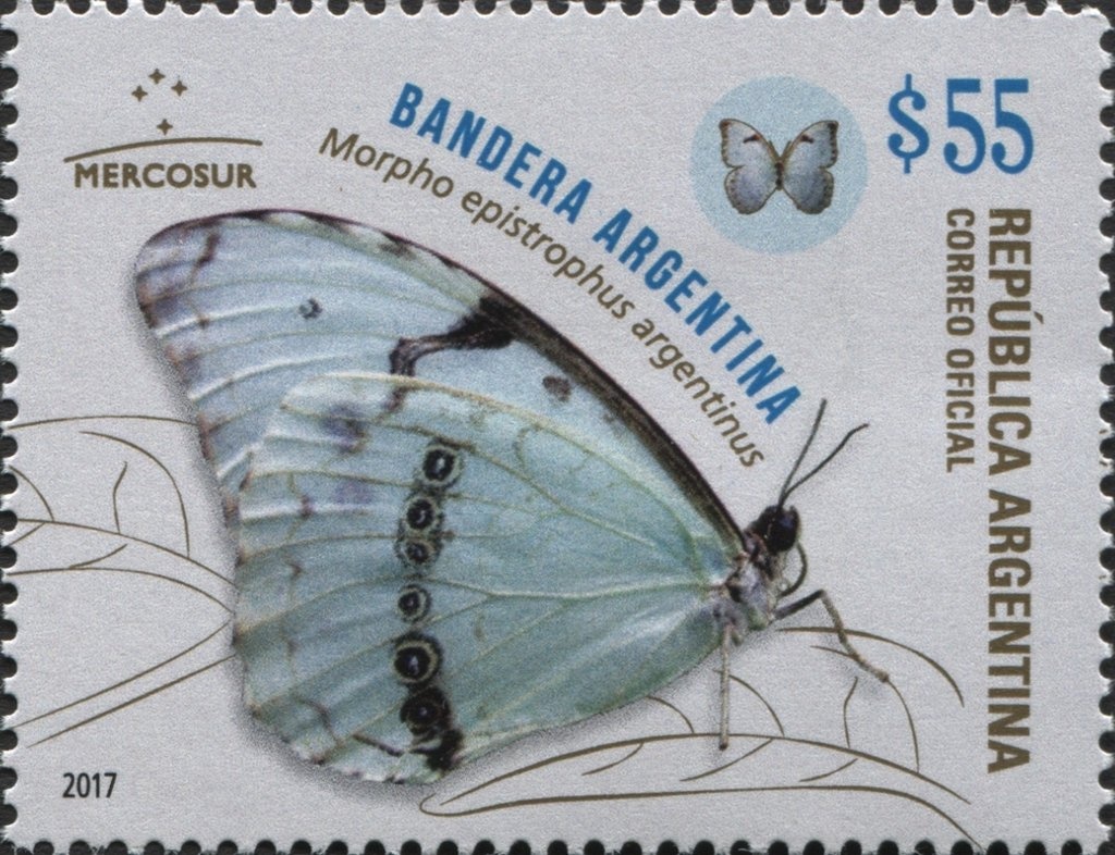 UP - Program "Argentina works"