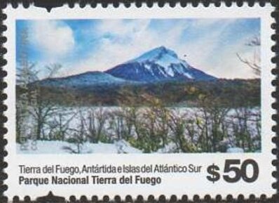 Weddell Seal (Leptonychetes weddelli)