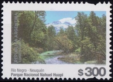 Lodd (Zygopetalum maxillare)