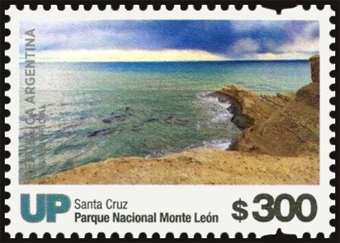 Southern Lapwing (Vanellus chilensis)