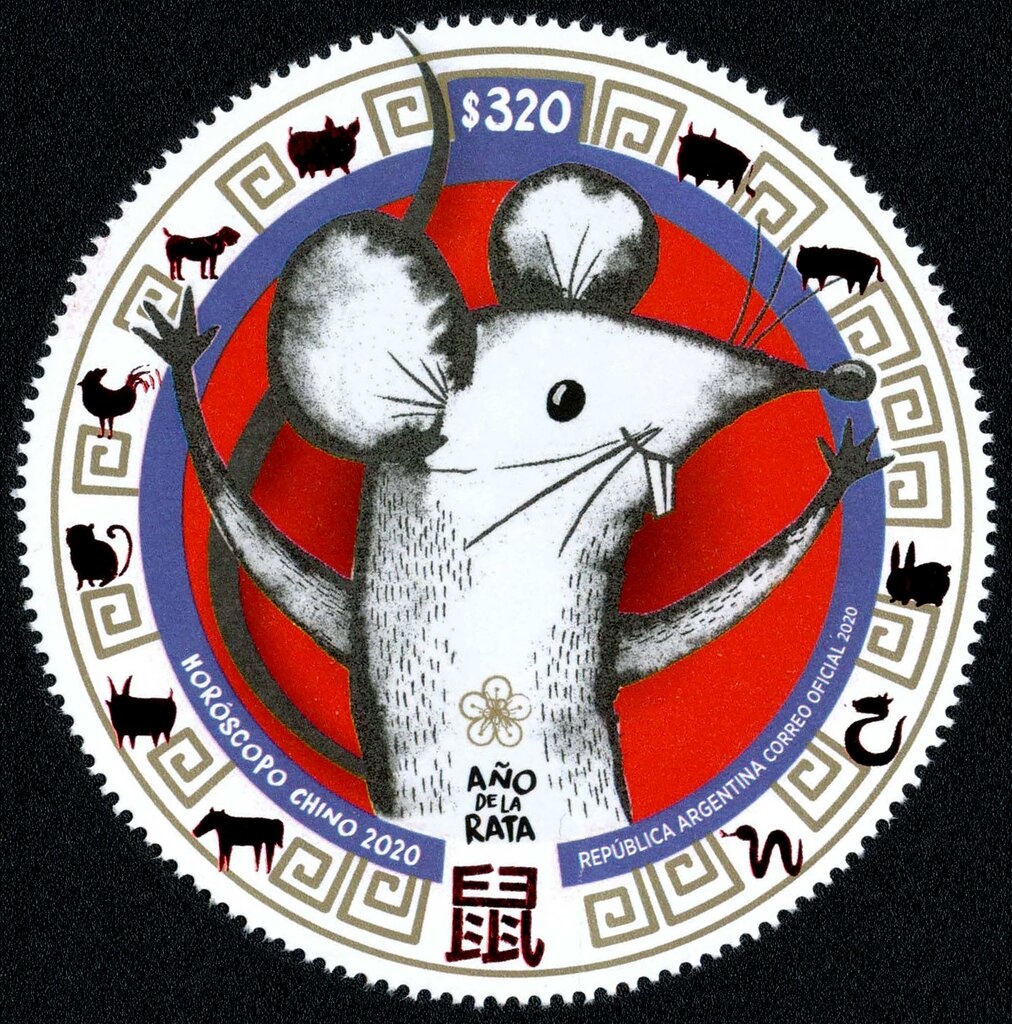 A.R.A. Uruguay, Magellanic Penguin (Speniscus magellanicus)