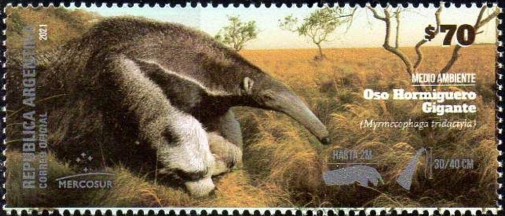 Reloj y Campanario, Los Colosos de Siémens, C.A.B.A.