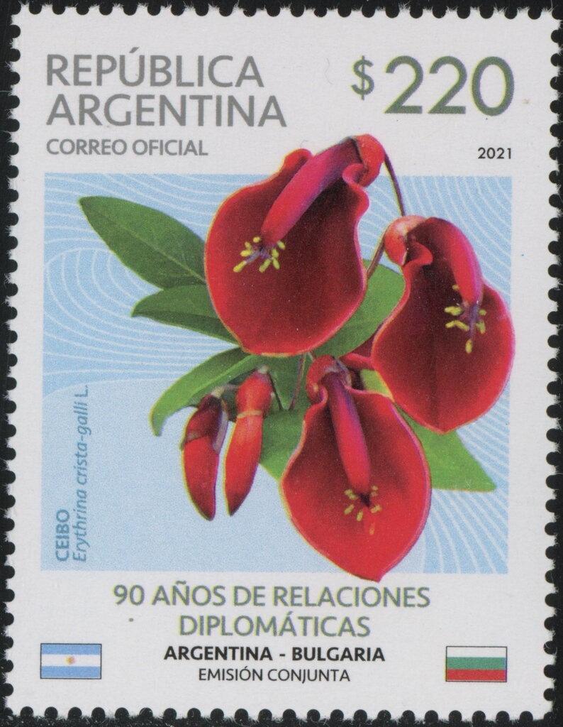 Meteorological Work at Camp Marimbo, Antarctica