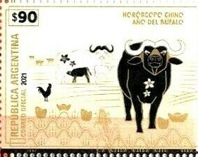 South Cross Constellation