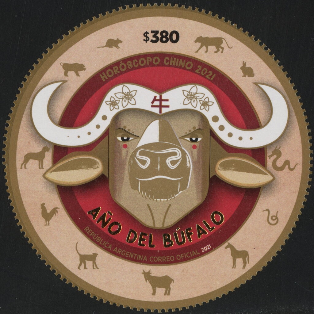 Zapallo (Pumpkin) - Cucurbita maxima