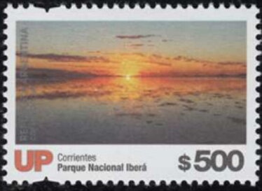 Imperial Shag (Phalacrocorax atriceps), Research Station Bro