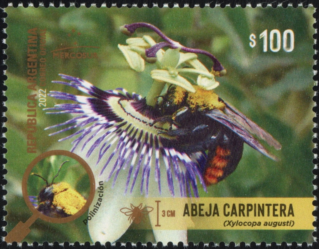 Kabuki Theatre dancer