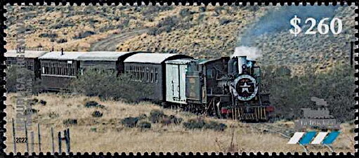 Hampshire (Sus scrofa domestica)