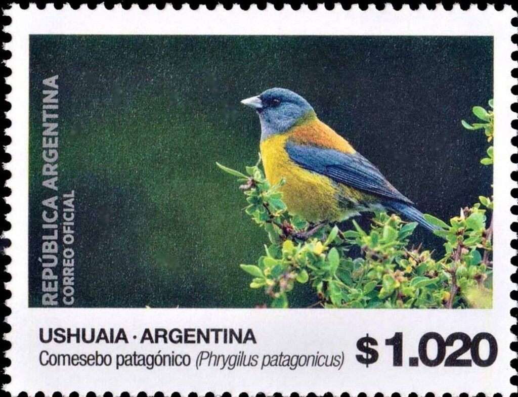 Rally Nacional A8 - Toyota Corolla WRC - Champion 2005