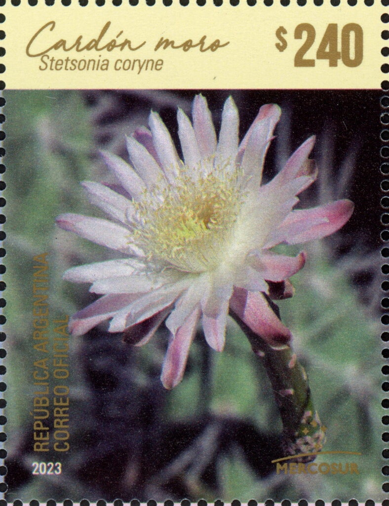 Daniel Paz - Rudy, El Tipito