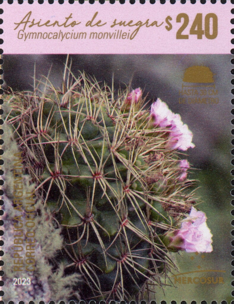 Humpback Whale (Megaptera novaeangliae)