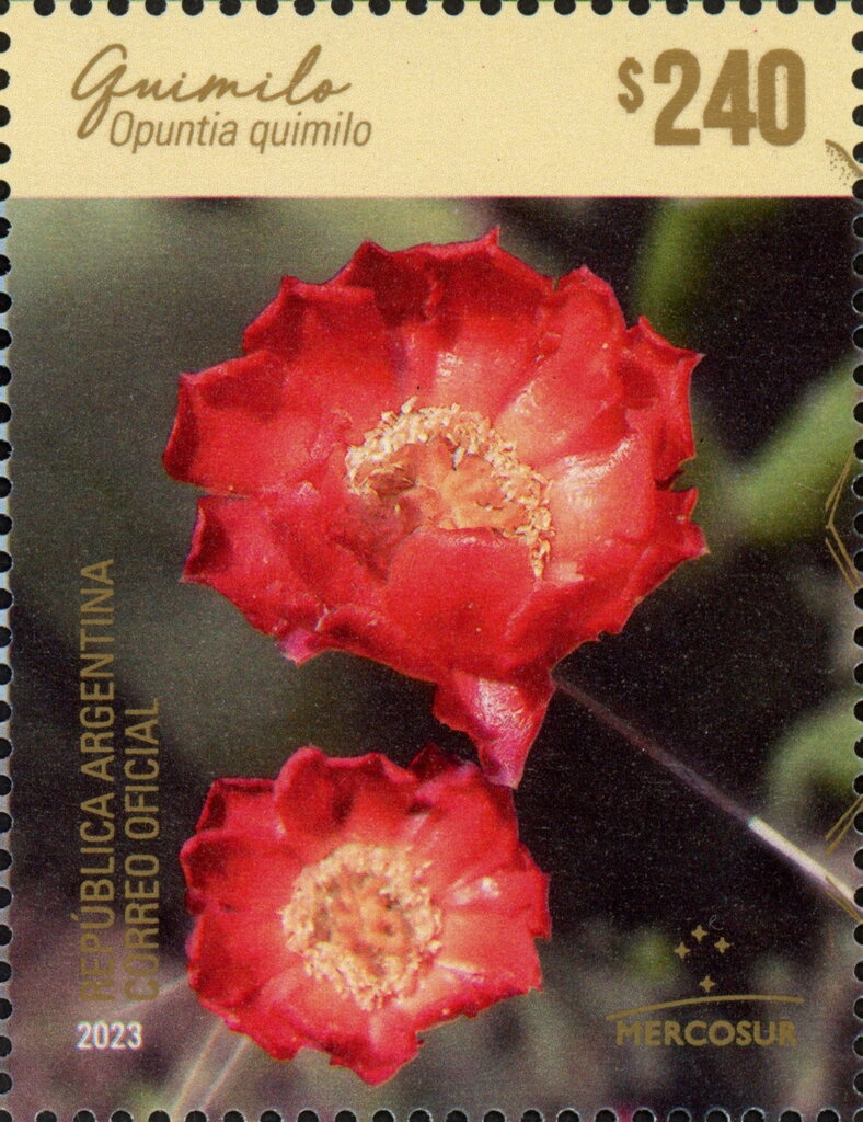 Perito Moreno Glacier, Santa Cruz - Surcharged