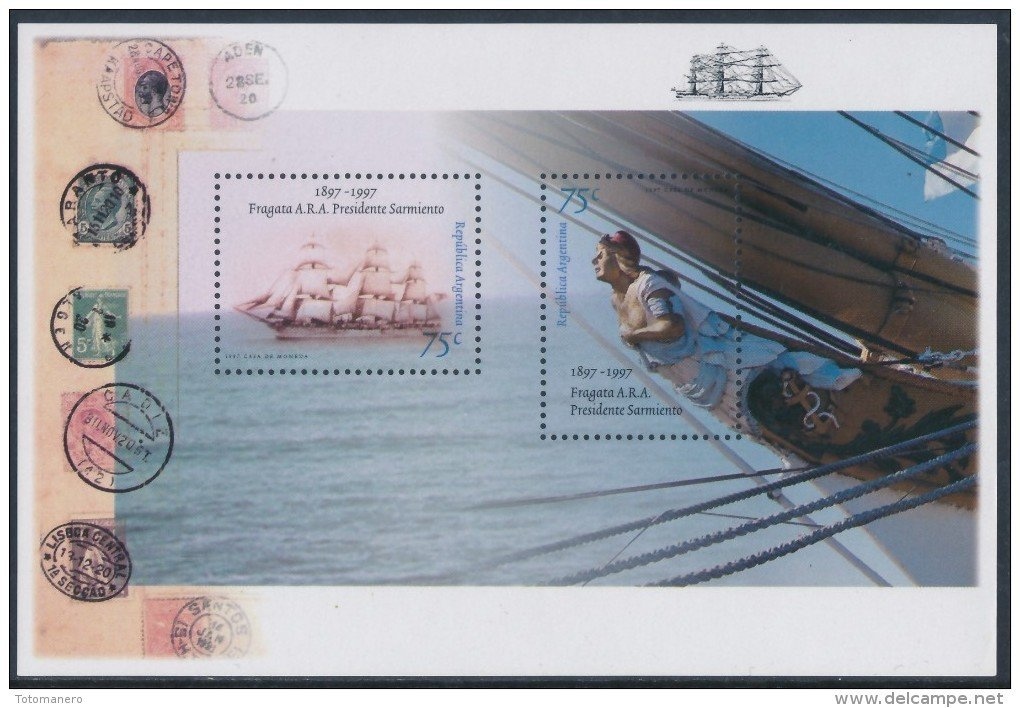 Barn Owl (Tyto alba)