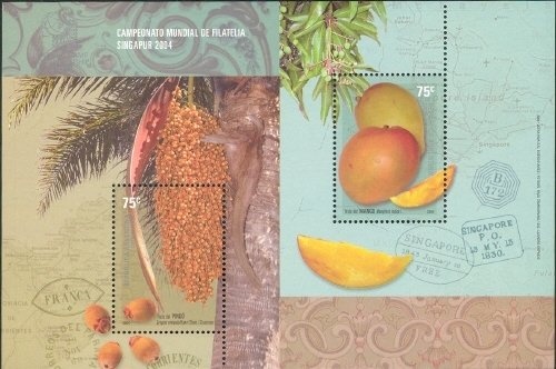 Divers from the Jubany Base