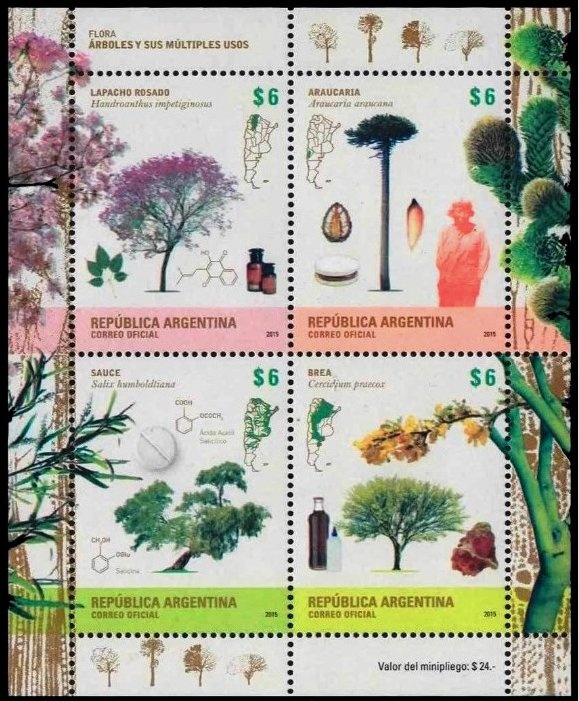 Domingo Faustino Sarmiento (1811-1888), President, Writer