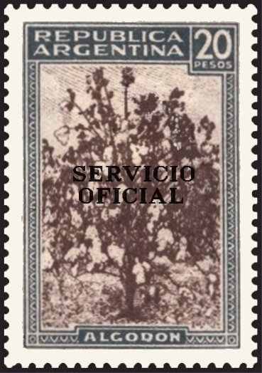 Pro Argentine Philately - Volcano Maipo