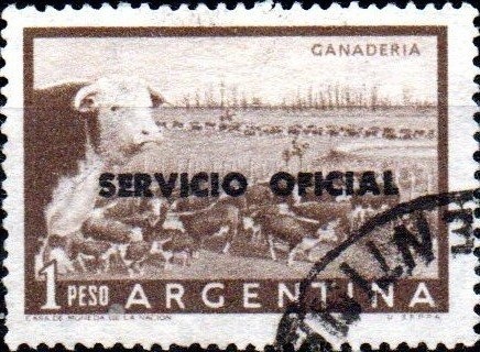 Map of South America without borderlines, ovpt. “M.M.”