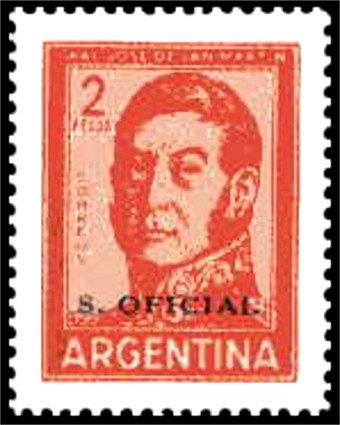 Vicugna (Vicugna vicugna)