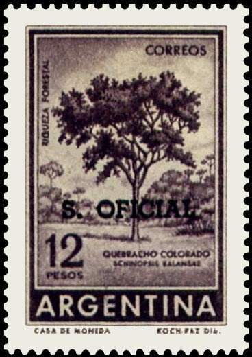 Olympic Games - Beijing 2008