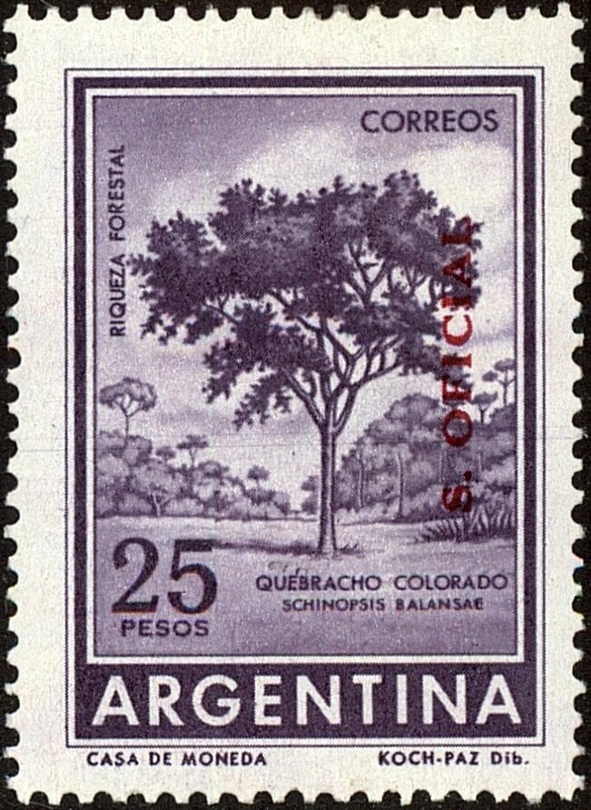 San Roque Lake, Córdoba