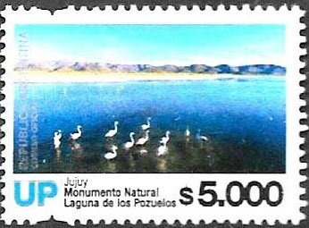 Province of Buenos Aires, Bicentenary