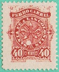 Merino Sheep (Ovis aries)