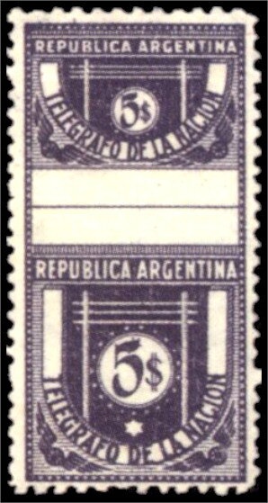 Merino Sheep (Ovis aries)