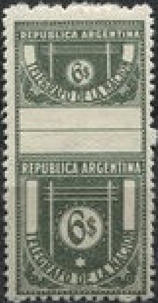 Argentina's National Flower Festival