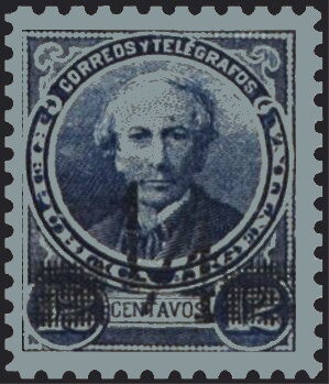 Gentoo Penguin (Pygoscelis papua)