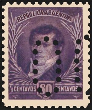 Palo Borracho (Chorisia speciosa) - Phosphor