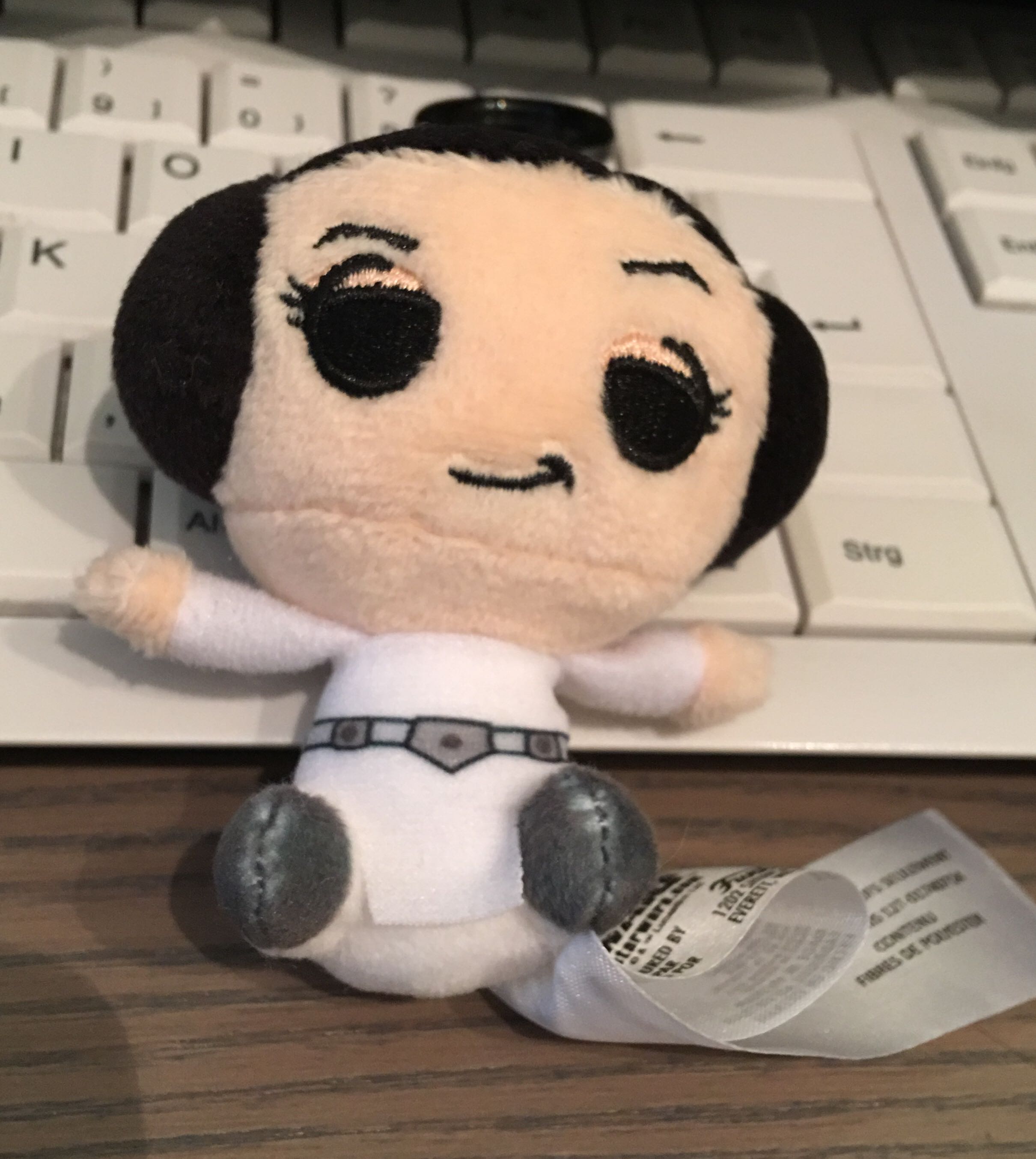 Leia - Mystery Minis Plushies - Funko sci-fi collectible [Barcode 889698267311] - Main Image 1