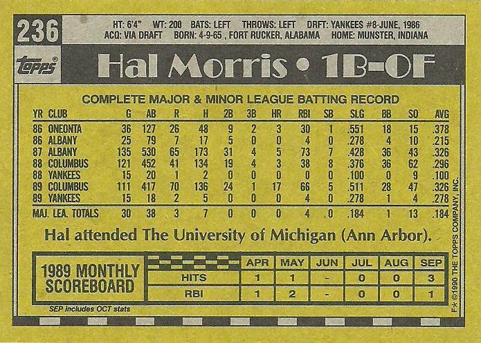 Hal Morris  baseball card collectible - Main Image 2