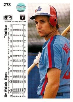 Tim Wallach  baseball card collectible - Main Image 2