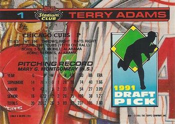 Terry Adams  baseball card collectible - Main Image 2