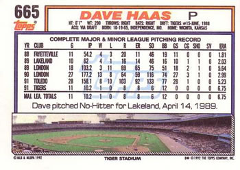 Dave Haas  baseball card collectible - Main Image 2