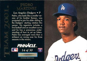 Pedro Martinez  baseball card collectible - Main Image 2