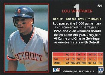 Lou Whitaker  baseball card collectible - Main Image 2