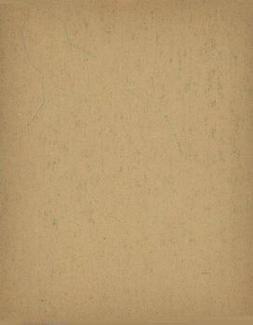 Willie Kamm  baseball card collectible - Main Image 2