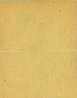 Pete Fox  baseball card collectible - Main Image 2