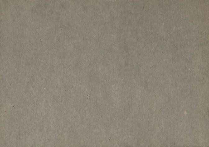 Ken Walters  baseball card collectible - Main Image 2