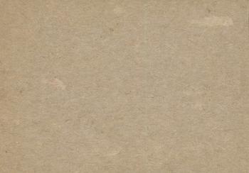 Rocky Nelson  baseball card collectible - Main Image 2