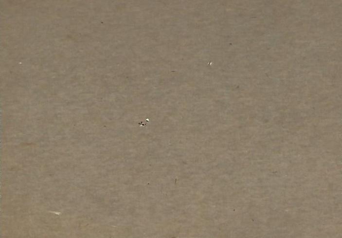 Eddie Kasko  baseball card collectible - Main Image 2