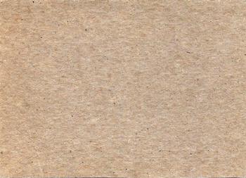 Ron Santo  baseball card collectible - Main Image 2