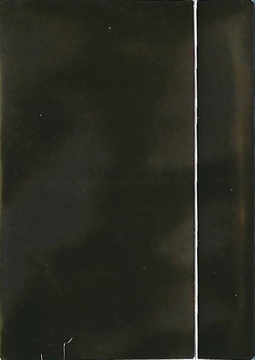 Diamond Stars Logo  baseball card collectible - Main Image 2