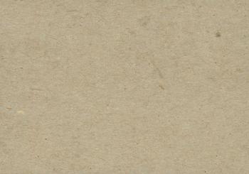 Ray Herbert  baseball card collectible - Main Image 2