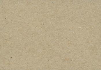 Don Blasingame  baseball card collectible - Main Image 2